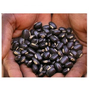 my take on velvet bean